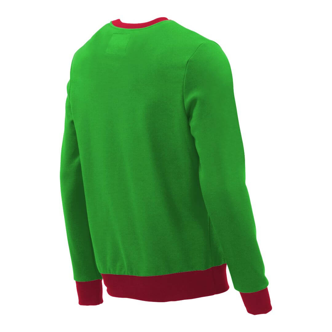 Pullover mit V-Ausschnitt_fairtrade_gruen_ED713C_rueck