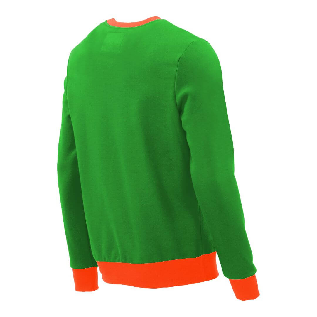 Pullover mit V-Ausschnitt_fairtrade_gruen_P59VI3_rueck