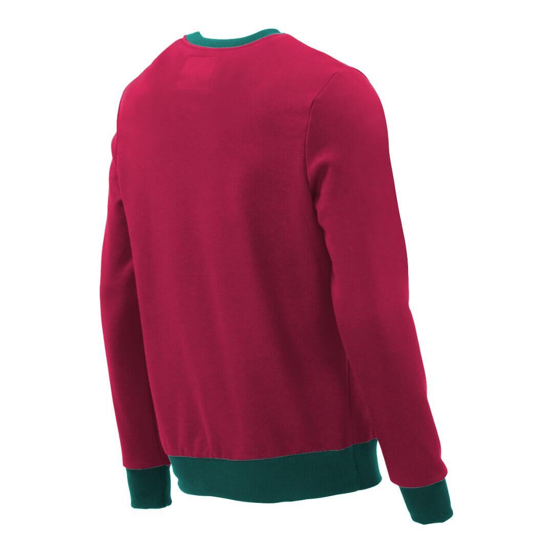 Pullover mit V-Ausschnitt_fairtrade_weinrot_EO1GL9_rueck