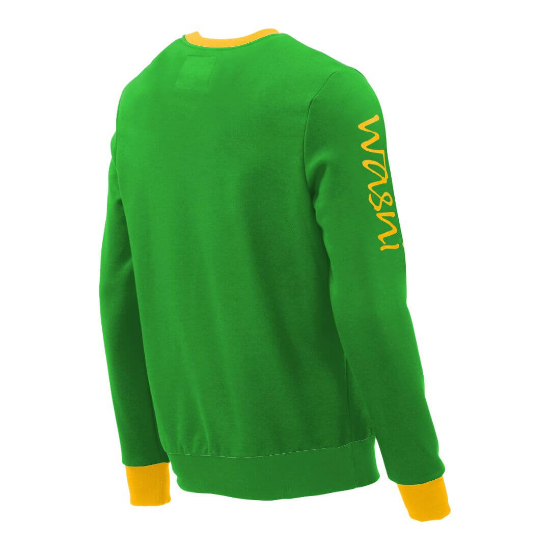 Pullover mit V-Ausschnitt_fairtrade_gruen_8PWHZK_rueck
