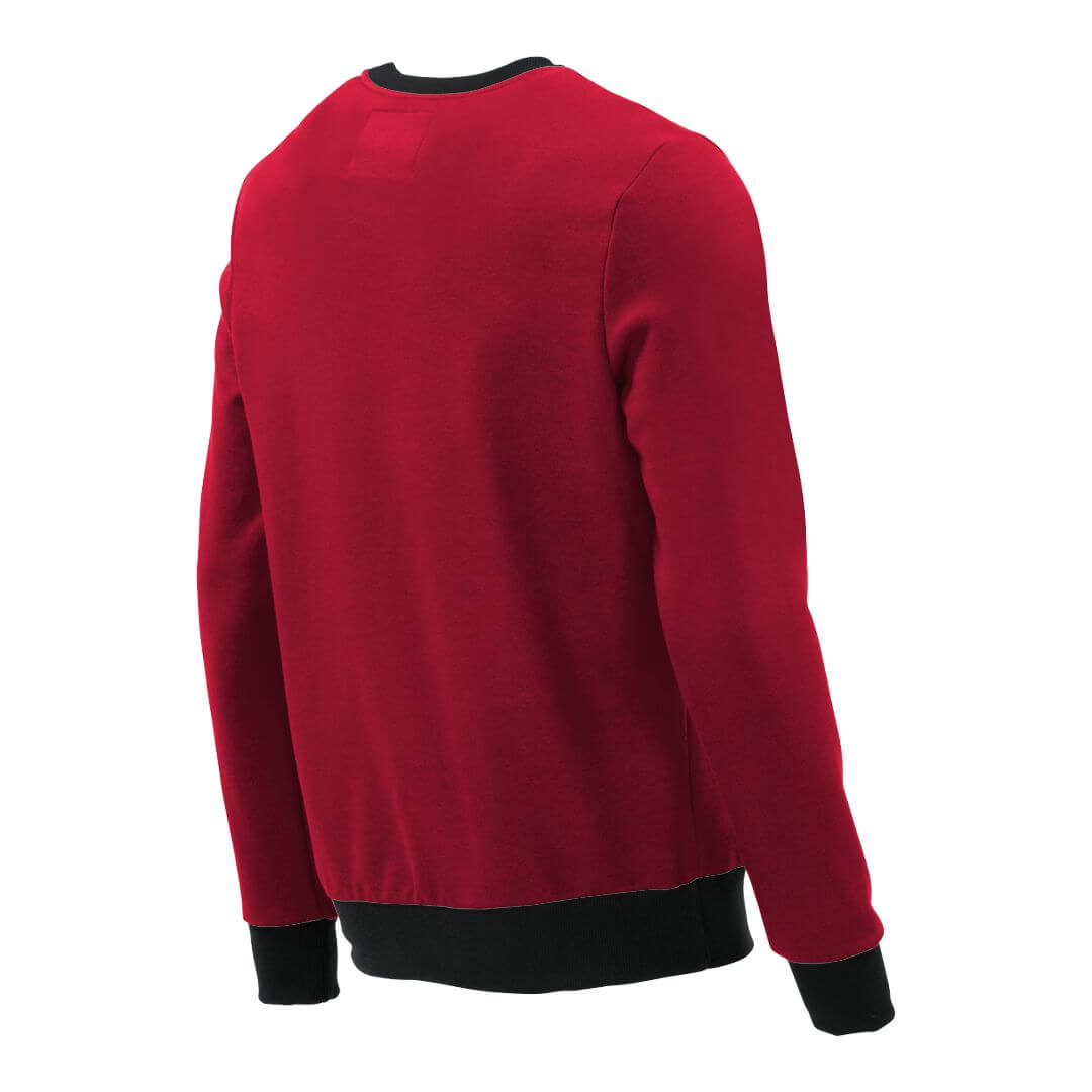 Pullover mit V-Ausschnitt_fairtrade_rot_GWPHMP_rueck