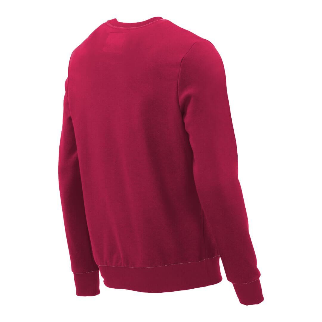 Pullover mit V-Ausschnitt_fairtrade_weinrot_NQQDHG_rueck