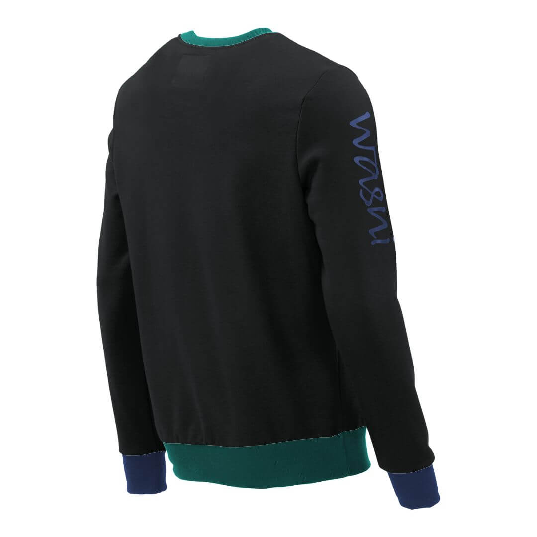 Pullover mit V-Ausschnitt_fairtrade_schwarz_DRUHPI_rueck