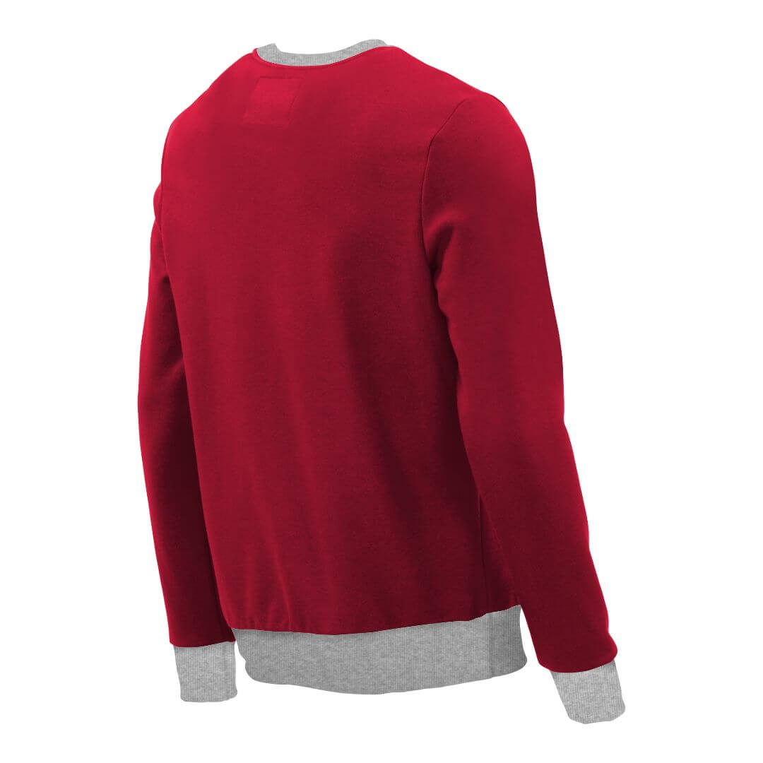 Pullover mit V-Ausschnitt_fairtrade_rot_T48JO8_rueck