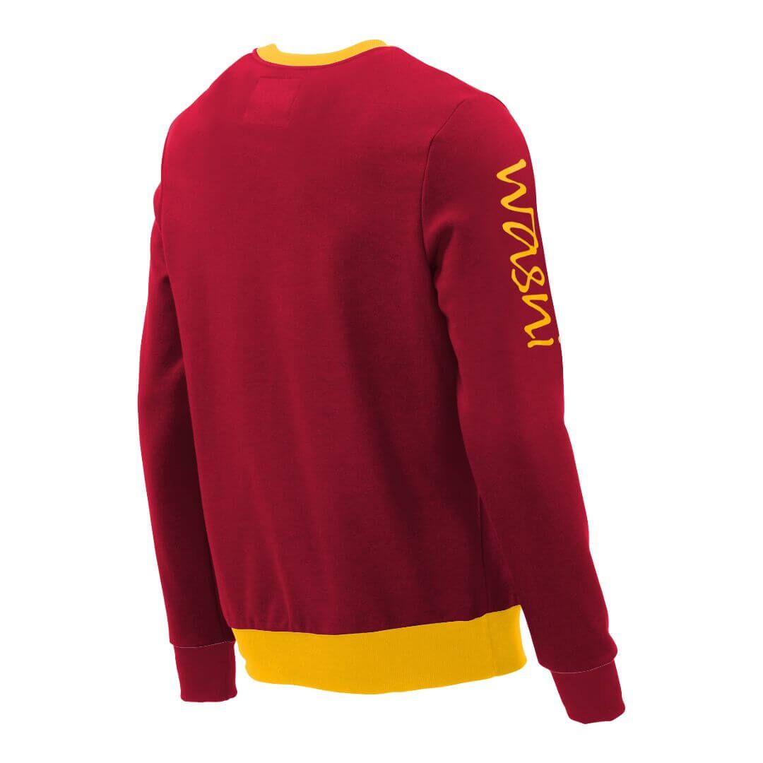 Pullover mit V-Ausschnitt_fairtrade_rot_CIAGYI_rueck