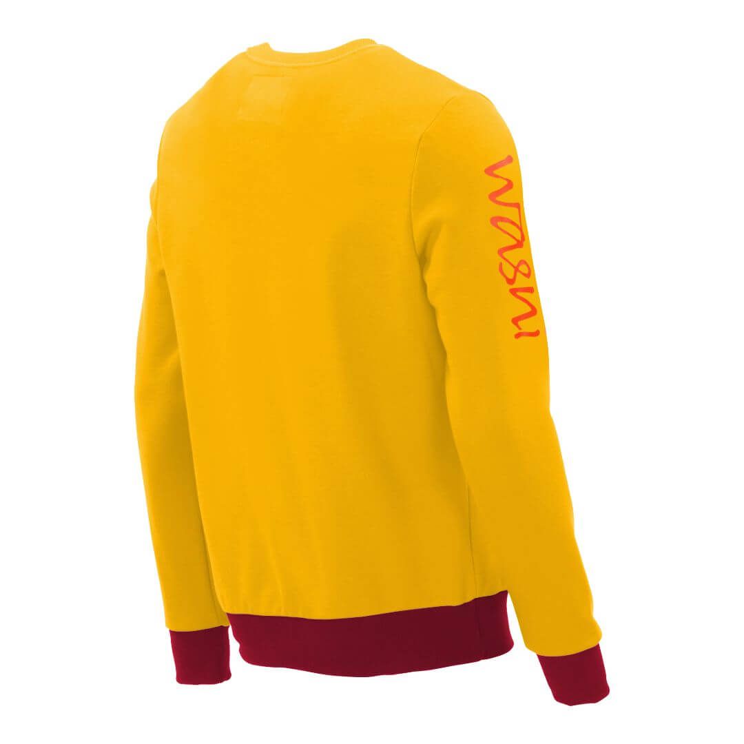 Rundhalspullover_fairtrade_gelb_VJUMDD_rueck