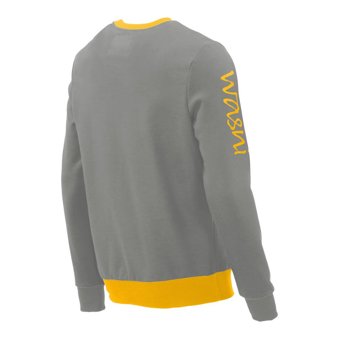 Pullover mit V-Ausschnitt_fairtrade_grau_29OLEM_rueck