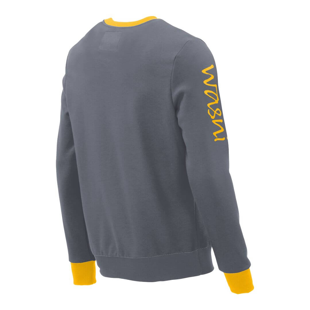 Pullover mit V-Ausschnitt_fairtrade_grau_IEYN0O_rueck