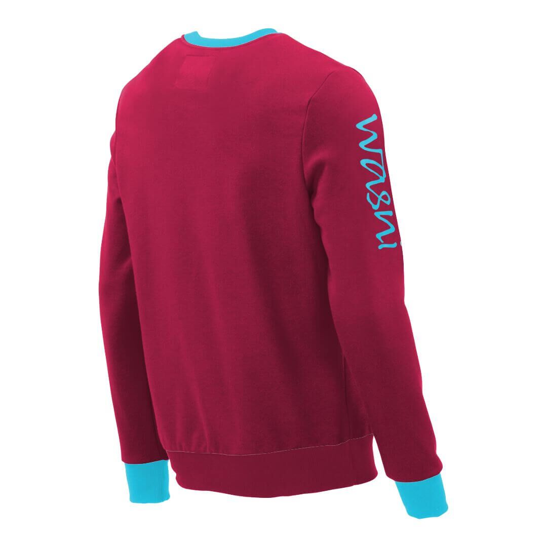 Pullover mit V-Ausschnitt_fairtrade_weinrot_908E7L_rueck