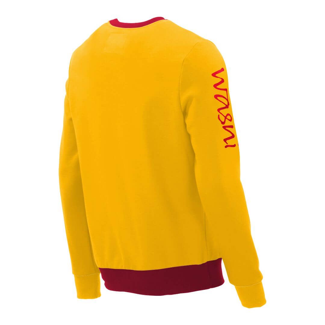 Pullover mit V-Ausschnitt_fairtrade_gelb_FDLS2K_rueck