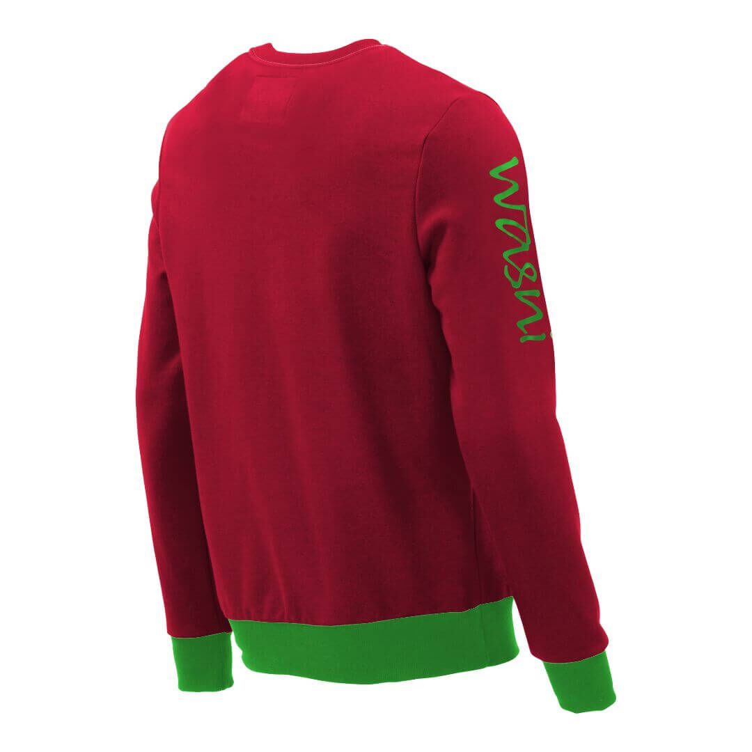 Pullover mit V-Ausschnitt_fairtrade_rot_S5QR0L_rueck
