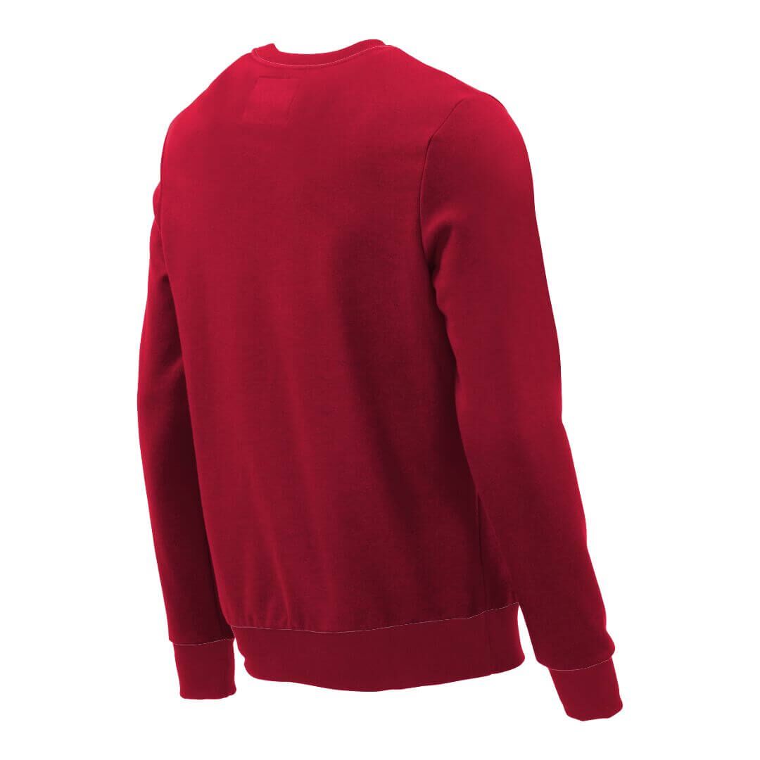 Pullover mit V-Ausschnitt_fairtrade_rot_DQ01N1_rueck